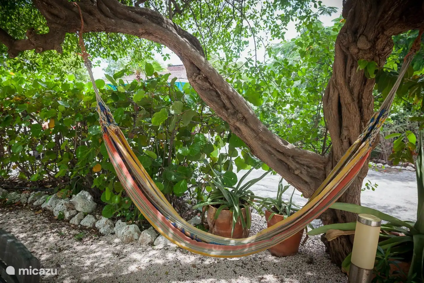 Hamac dans le jardin