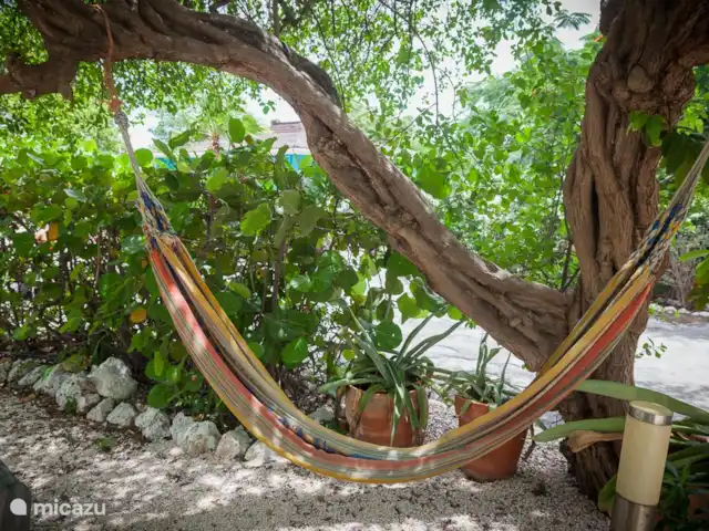 Piscadera Bay Resort 23 huren in Curaçao, Curacao-Midden, Piscadera - bungalow Hangmat in de tuin