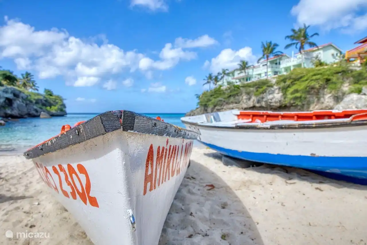 Playa Lagun, snorkeling with the turtles