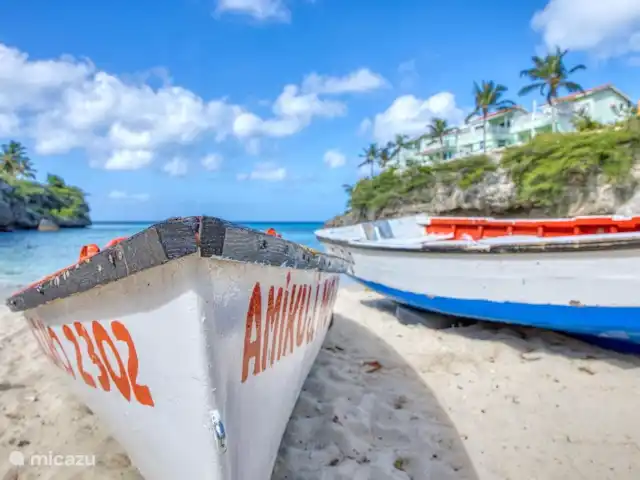 Piscadera Bay Resort 24 | Curaçao, Curaçao-Centre, Piscadera - bungalow Playa Lagun, snorkeling avec les tortues