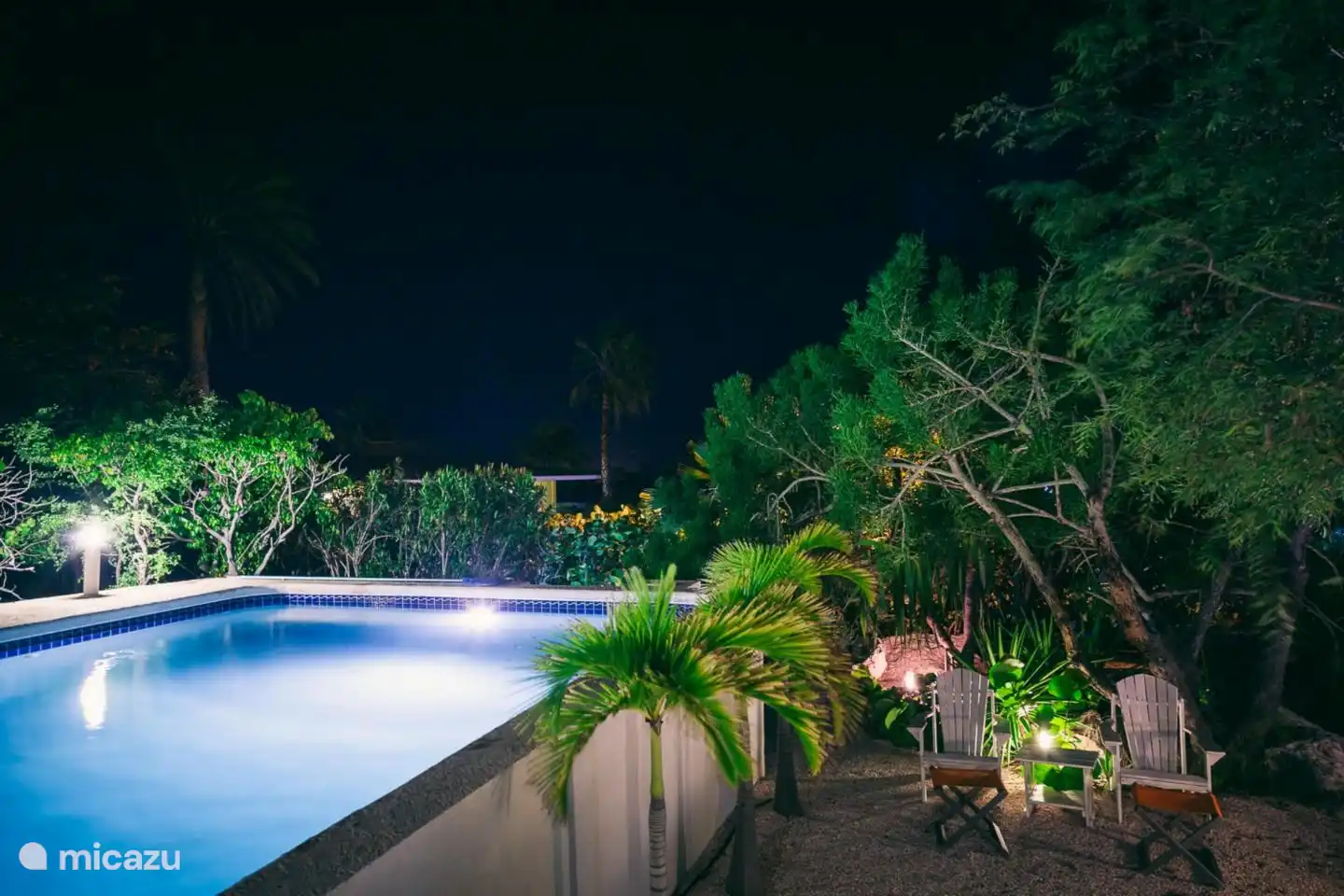 Swimming pool and garden