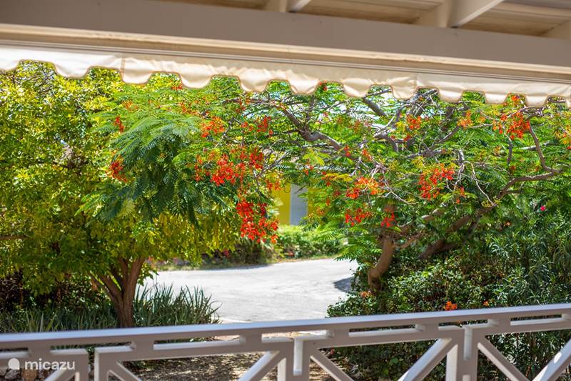 Vakantiehuis Curaçao, Curacao-Midden, Piscadera Bungalow Piscadera Bay Resort 25