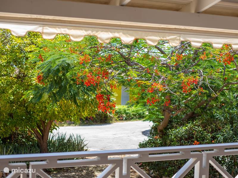 Ferienwohnung Curaçao, Curacao-Mitte, Piscadera Bungalow Piscadera Bay Resort 25