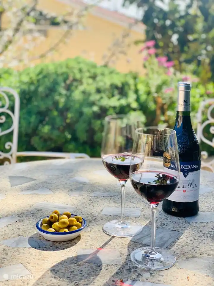 Profitez du jardin et des boissons espagnoles.