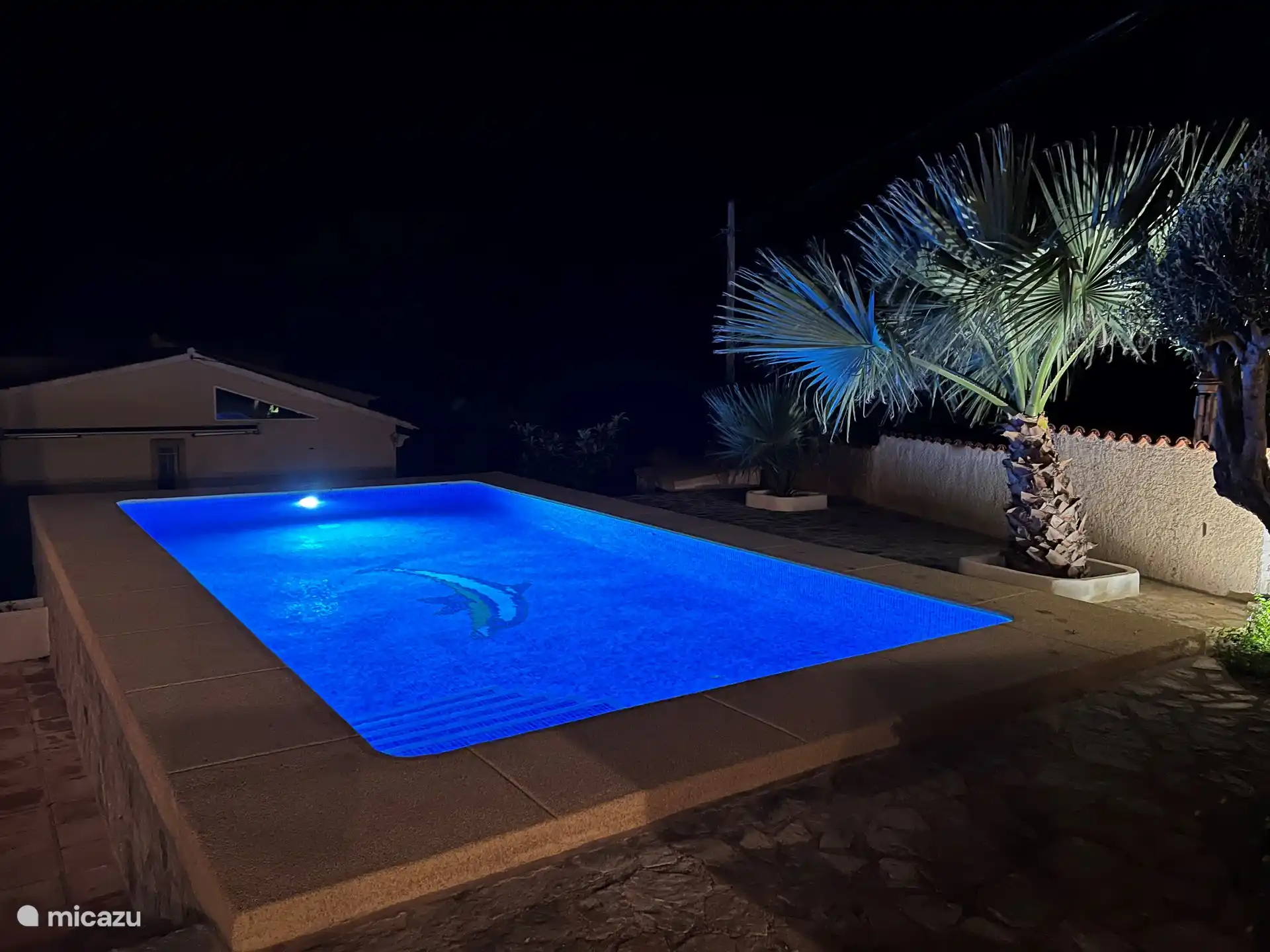 Piscine avec éclairage