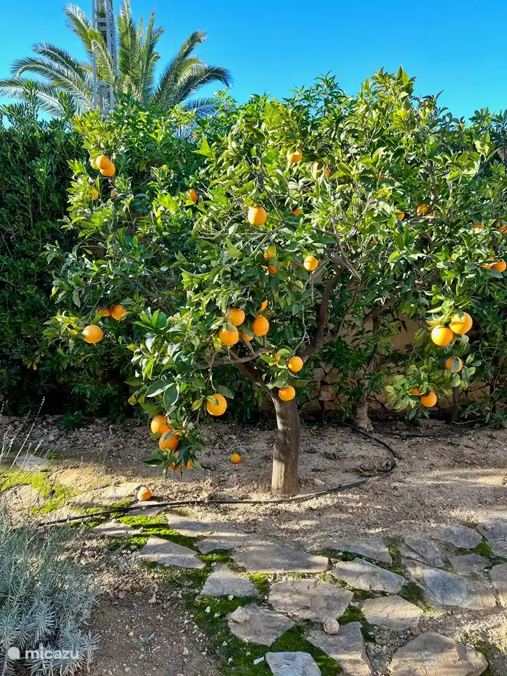 'Casa Miramar' Benissa - Moraira