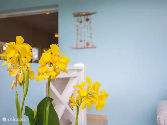 Villa Perla Blou | Curaçao, Curaçao-Centre, Piscadera - bungalow Plantes tropicales autour du bungalow