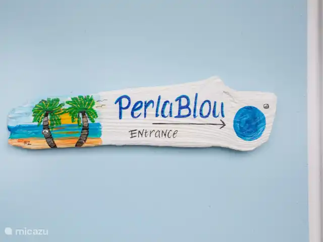 Villa Perla Blou | Curaçao, Curaçao-Centre, Piscadera - bungalow Campanula carpatica 'Perla Blue' est une fleur compacte et touffue et petite cloche avec de petites cloches bleu violet foncé