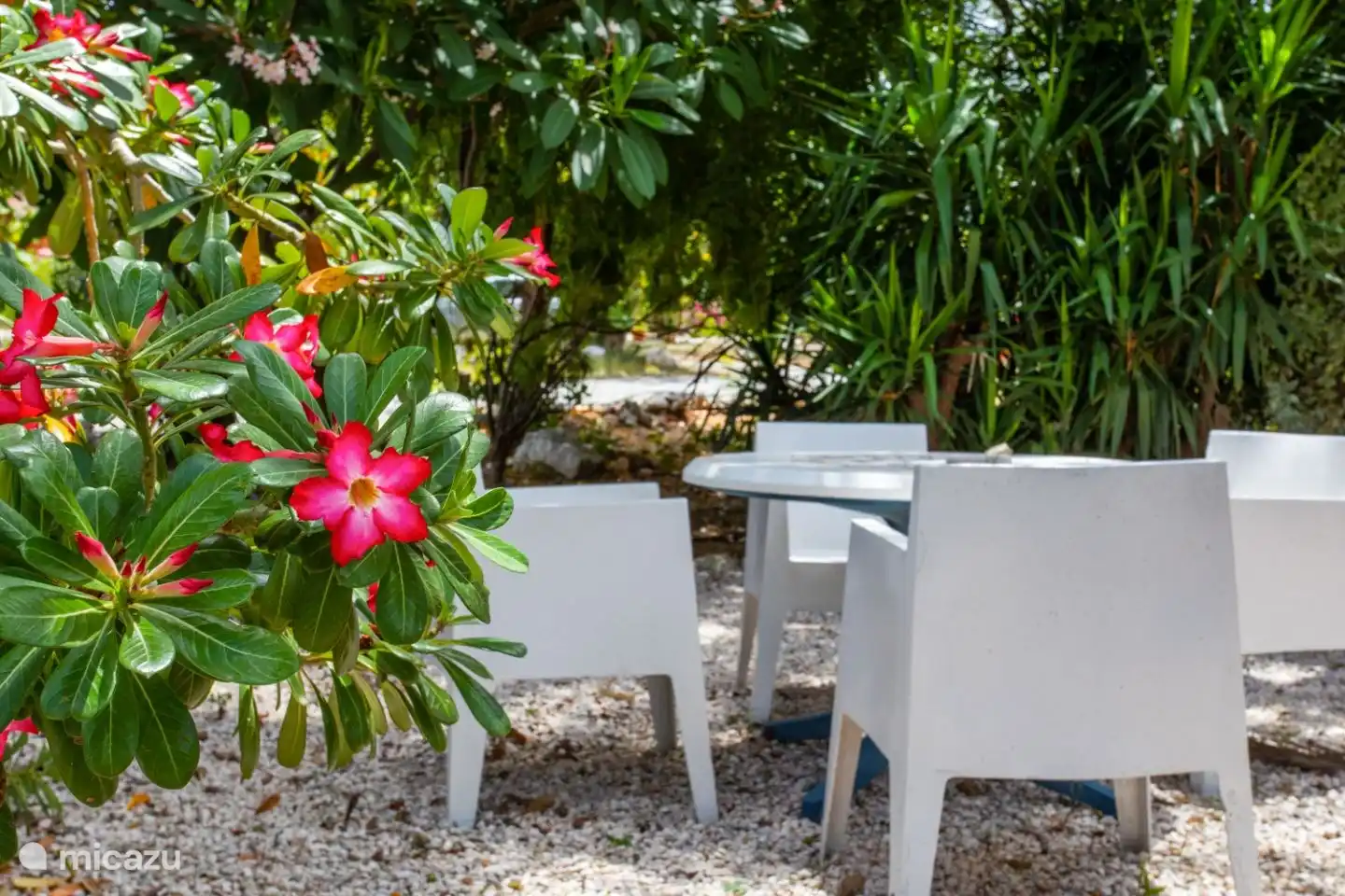 Sitzgelegenheiten im Garten