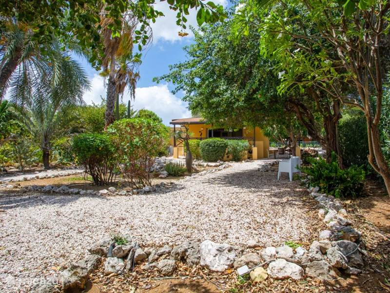 Vakantiehuis Curaçao, Curacao-Midden, Piscadera Bungalow Bungalow Hopi Bon