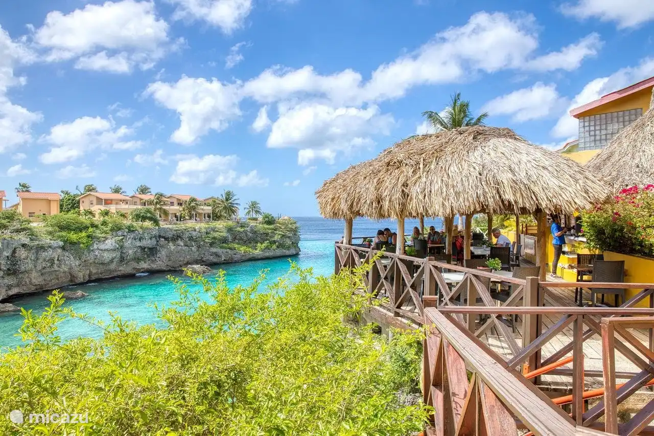 Playa Lagun, Schnorcheln mit Schildkröten