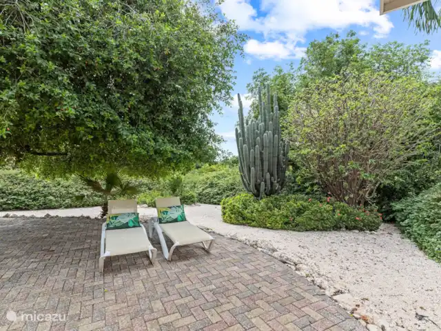 Bungalow Bossa Nova huren in Curaçao, Curacao-Midden, Piscadera - bungalow tuin