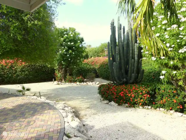 Bungalow Bossa Nova huren in Curaçao, Curacao-Midden, Piscadera - bungalow tropische tuin