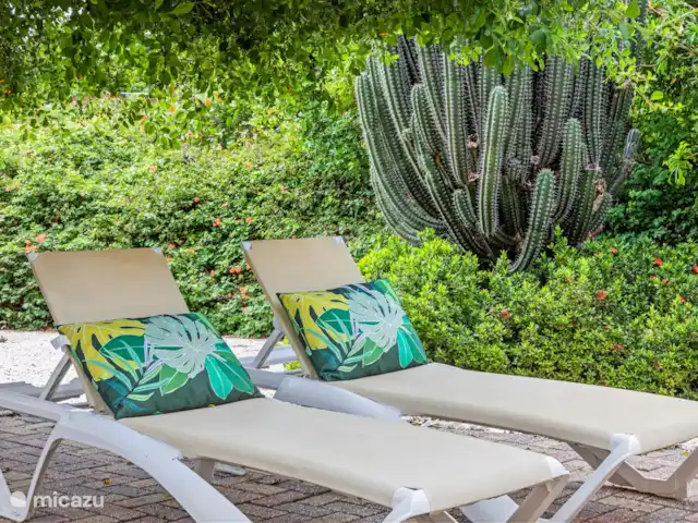 Bungalow Bossa Nova huren in Curaçao, Curacao-Midden, Piscadera - bungalow tropische tuin