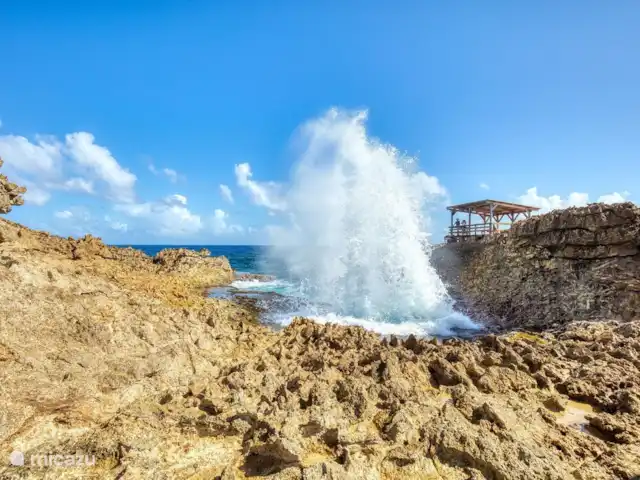 Bungalow Bossa Nova huren in Curaçao, Curacao-Midden, Piscadera - bungalow Nationaal Park Shete Boka