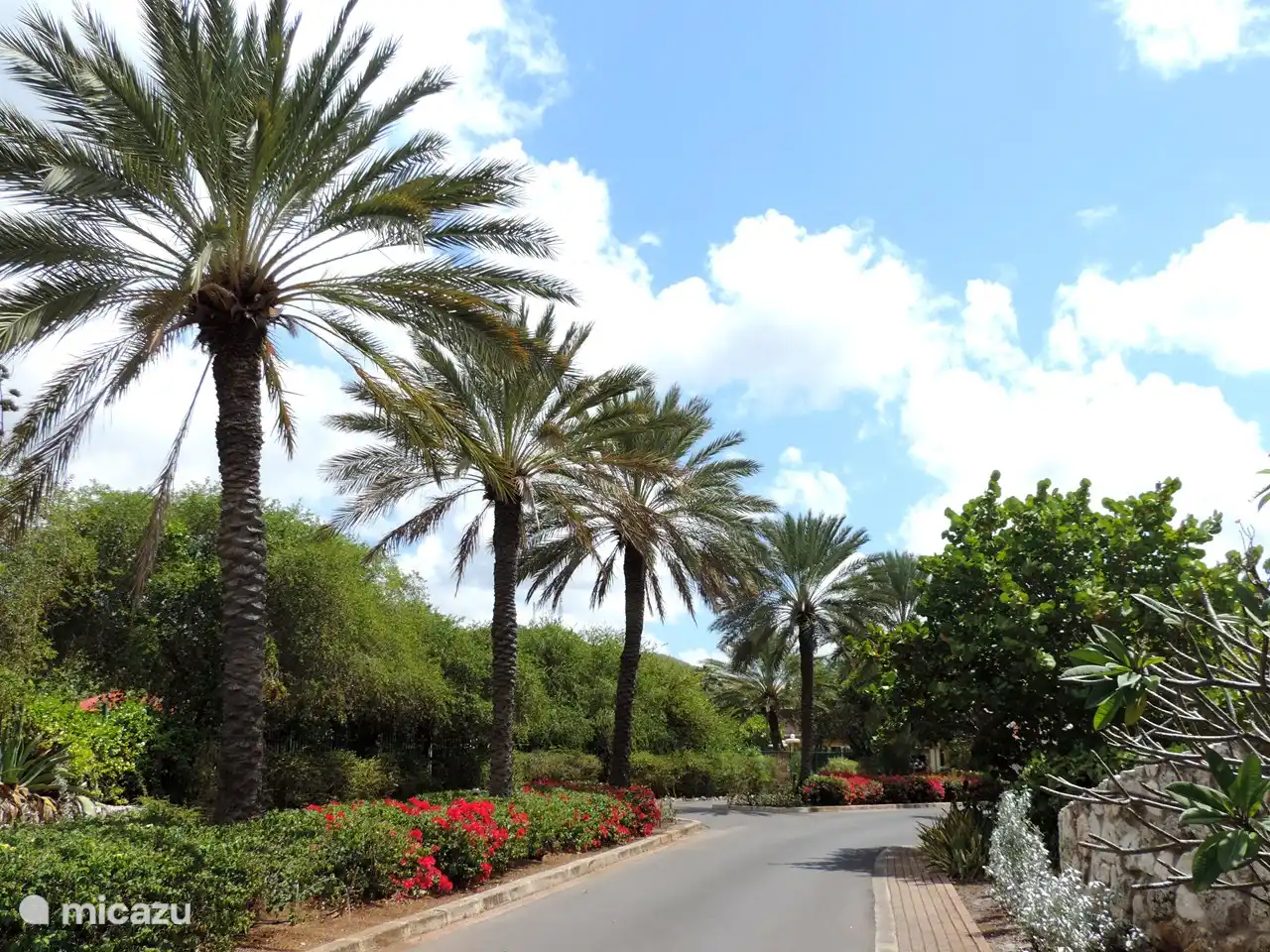 driveway to the resort