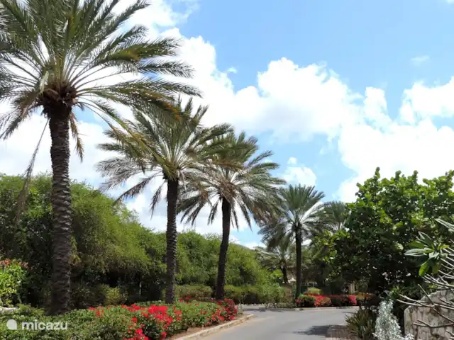Piscadera Bay Resort 93 | Curaçao, Curaçao-Centre, Piscadera - bungalow allée de la station