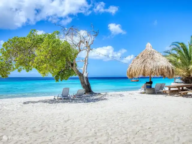 Piscadera Bay Resort 93 | Curaçao, Curaçao-Centre, Piscadera - bungalow Plage de Mambo
