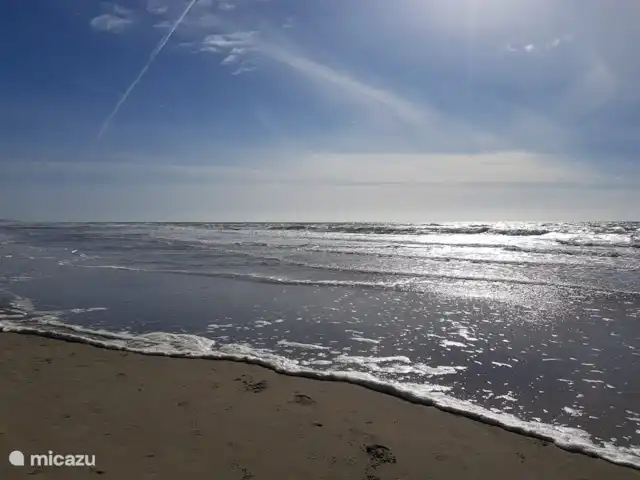 Bungalow Dünenblick | Pays-Bas, Hollande du Nord, Julianadorp aan Zee - bungalow plage