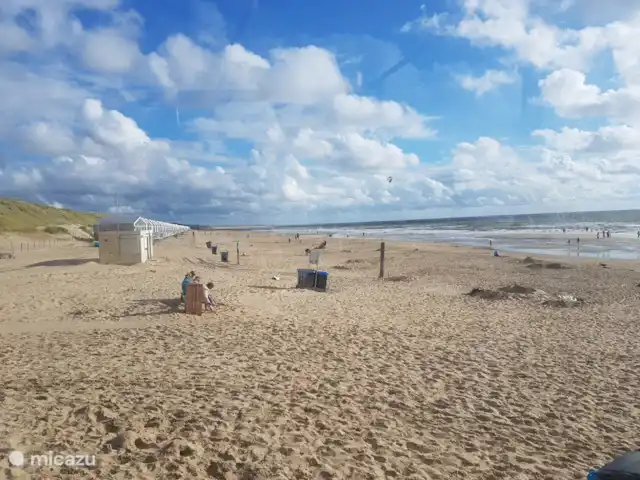 Bungalow Dünenblick | Pays-Bas, Hollande du Nord, Julianadorp aan Zee - bungalow plage
