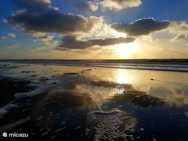 Bungalow Dünenblick | Pays-Bas, Hollande du Nord, Julianadorp aan Zee - bungalow mer