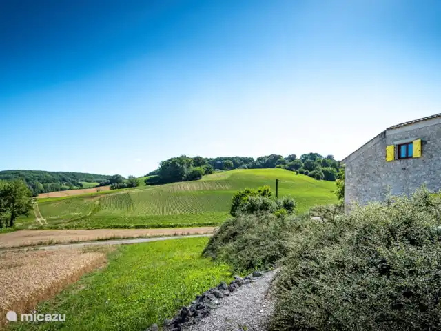 Mandarré | France, Lot-et-Garonne, Massels - maison de vacances jardin