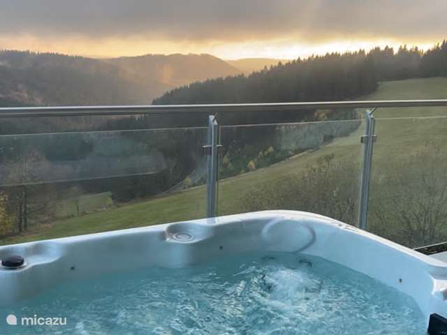 Holiday home in Germany, Sauerland, Winterberg - apartment Luxury apartment Jacuzzi Winterberg