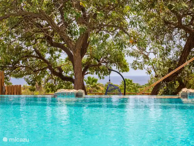 Villa Dol Fine Maison | Curaçao, Curaçao-Centre, Piscadera - bungalow Piscine à débordement avec vue sur la mer