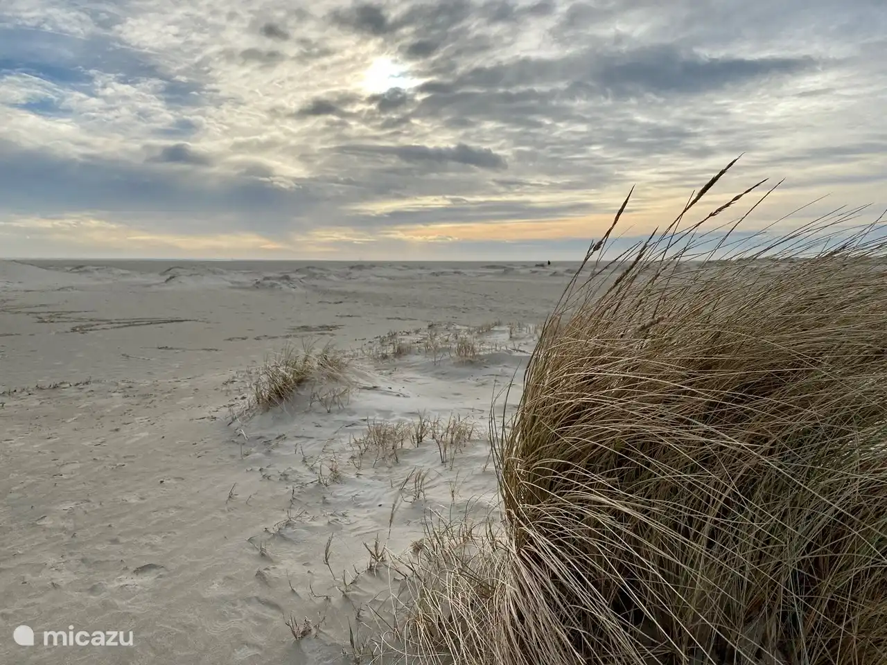 National Park Dunes of Texel De Hors