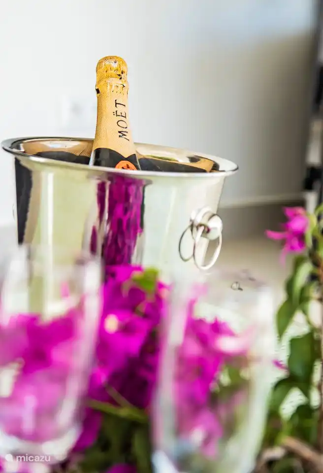 Super sympa si vous venez visiter notre villa !