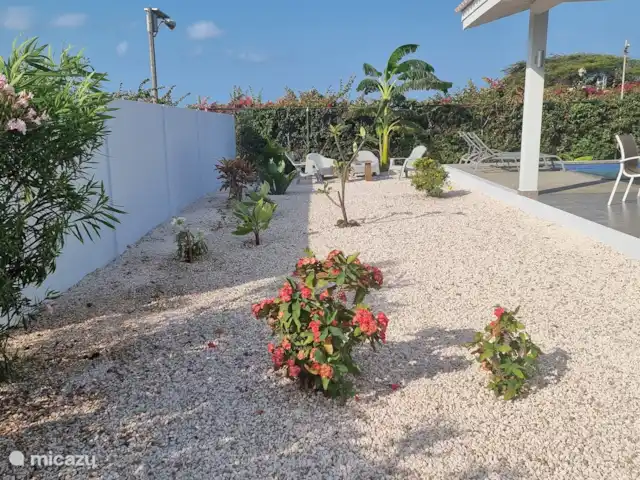 Casa de Kooijman en Curazao, Bandabou (oeste), Fontein - villa Banano