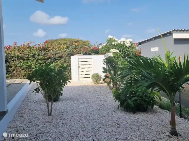 Casa de Kooijman en Curazao, Bandabou (oeste), Fontein - villa Jardín al lado de la villa.