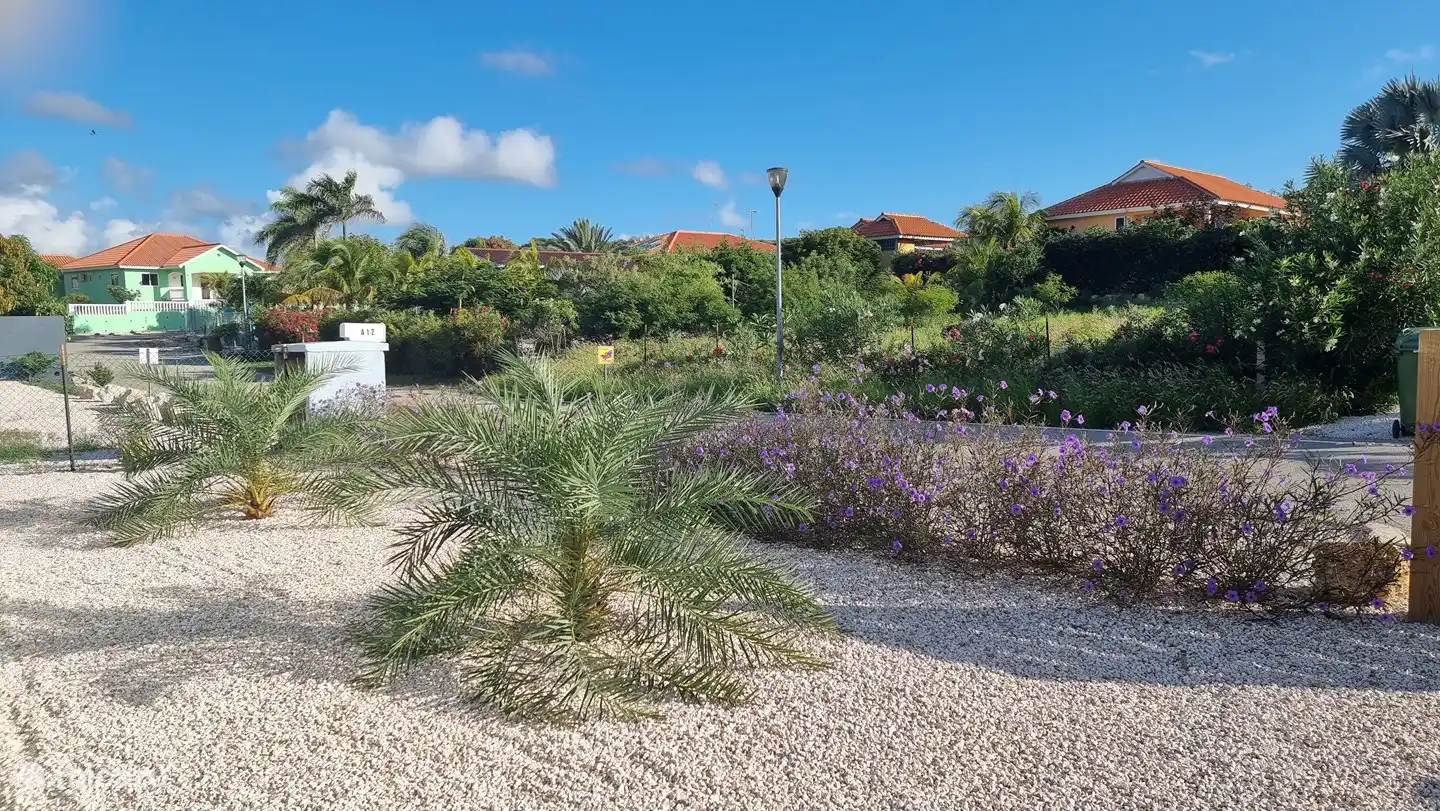  vrij uitzicht aan de voorkant 