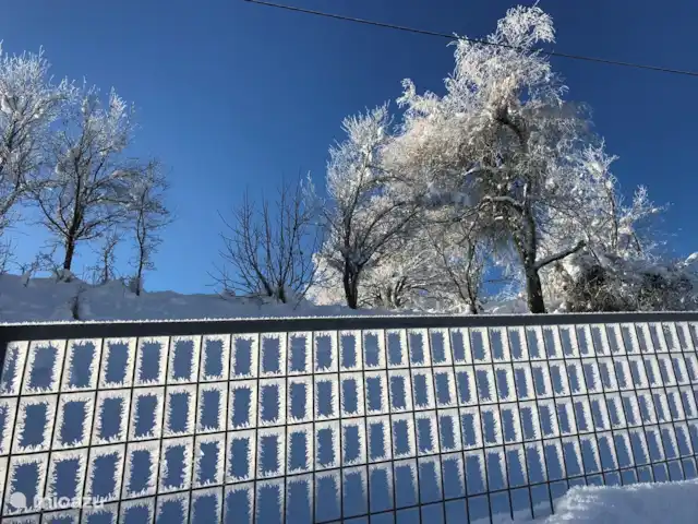 Haus Tilia Karinthië / App Dobratsch huren in Oostenrijk, Karinthië, Kerschdorf/Nötsch - appartement Tuin