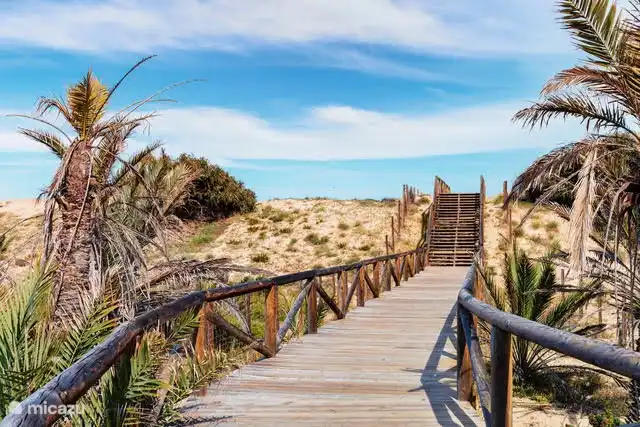 Dunas a tan solo 450 metros