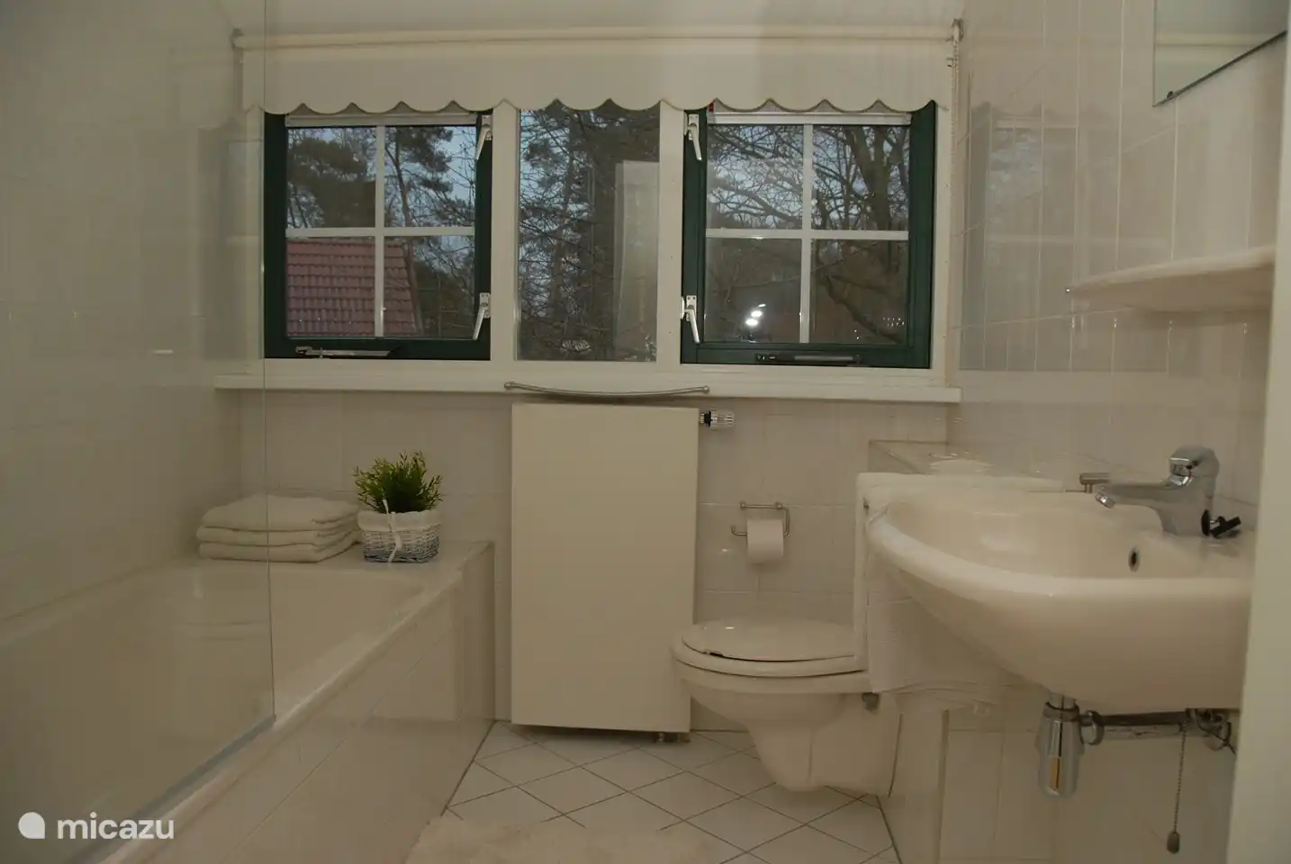 Badezimmer mit Dusche in der Badewanne