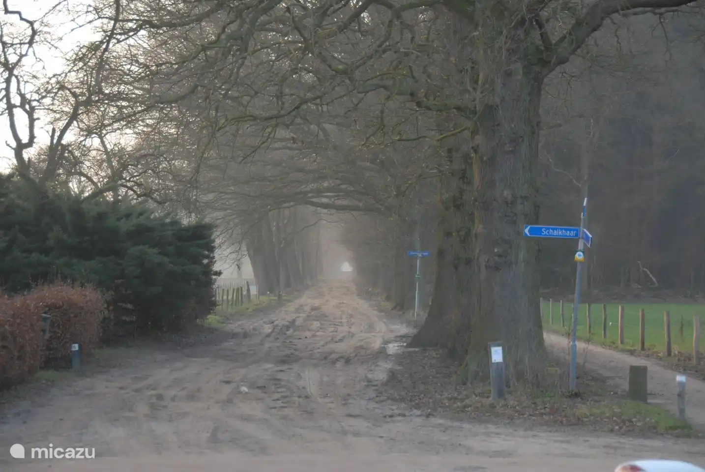 500 Meter vom Park entfernt