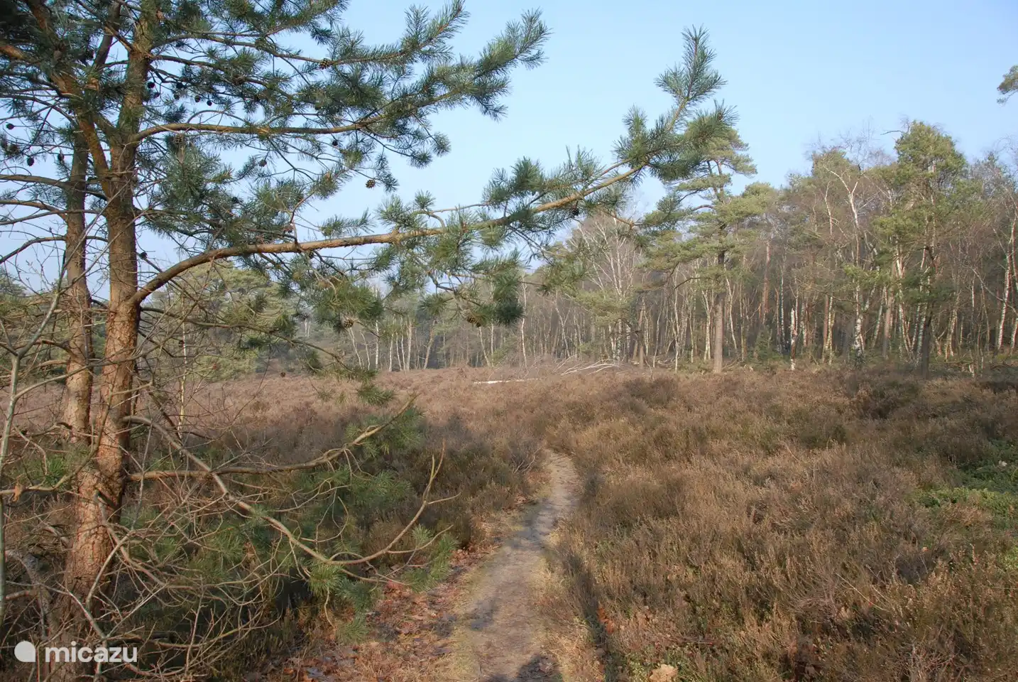 Sallandse Heuvelrug 10 Autominuten, 30 Minuten mit dem Fahrrad