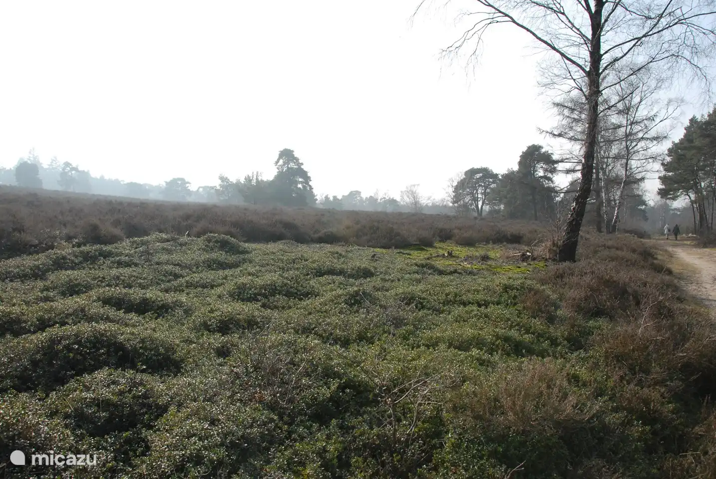 Sallandse Heuvelrug 10 Autominuten, 30 Minuten mit dem Fahrrad
