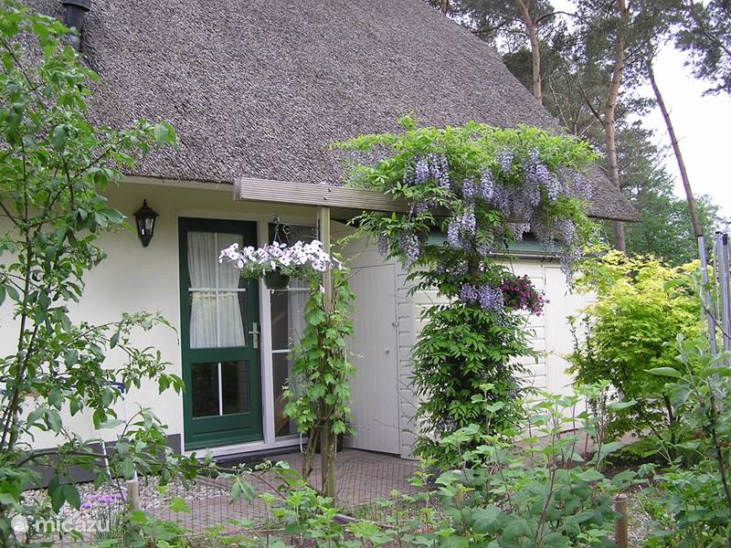 Maison de Vacances Pays-Bas, Overijssel, Heeten Maison de vacances Bosville Elfie