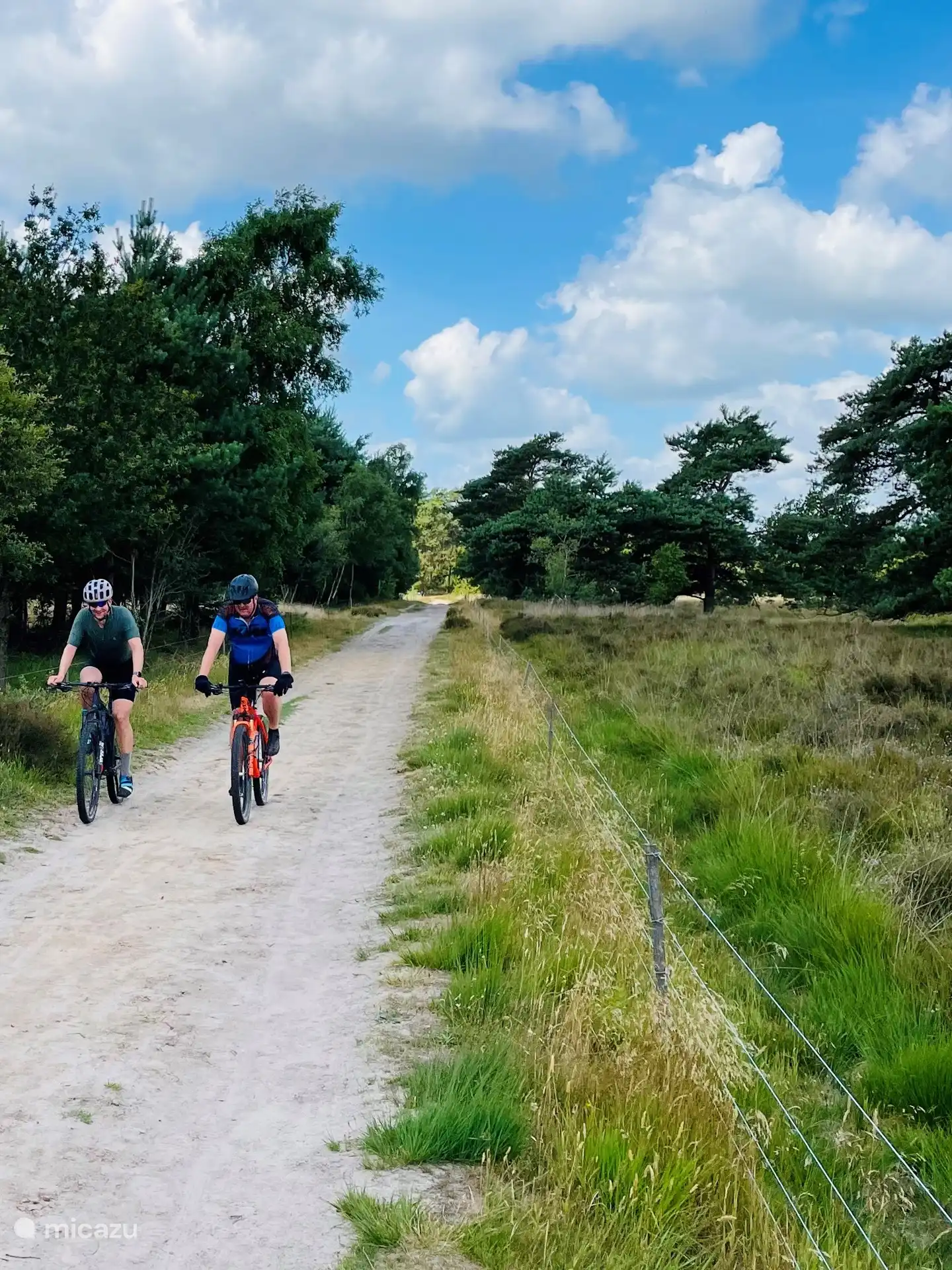 Wunderbares Radfahren im Nationalpark Dwingelderveld.
