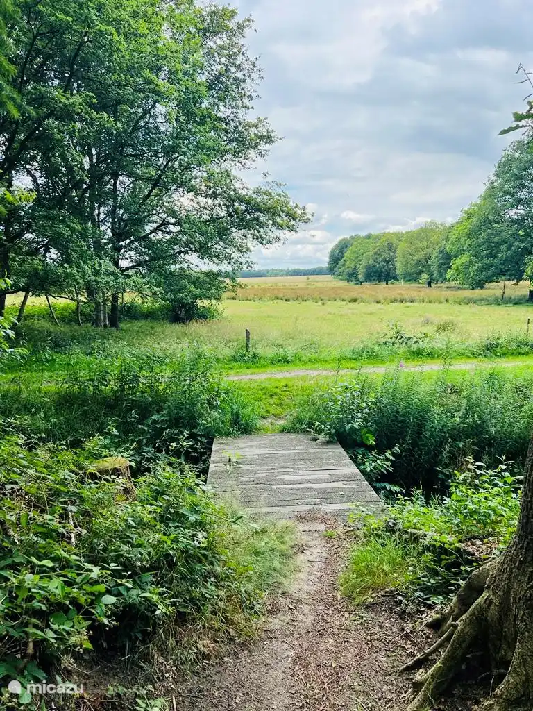 Am Ende der Straße kannst du direkt in die Natur laufen