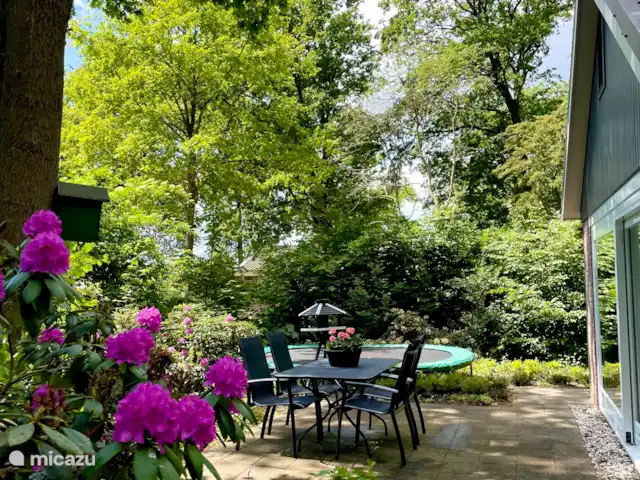 Huize Ruinen | Pays-Bas, Drenthe, Ruinen - maison de vacances Terrasse par les portes coulissantes avec mobilier de jardin