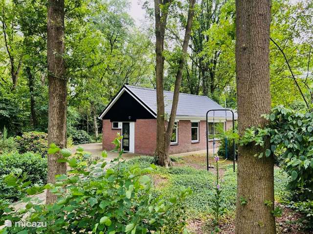 Holiday home in Netherlands, Drenthe – holiday house Huize Ruinen