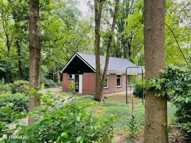 Huize Ruinen | Pays-Bas, Drenthe, Ruinen - maison de vacances Huize Ruinen | Pays-Bas, Drenthe, Ruinen - maison de vacances