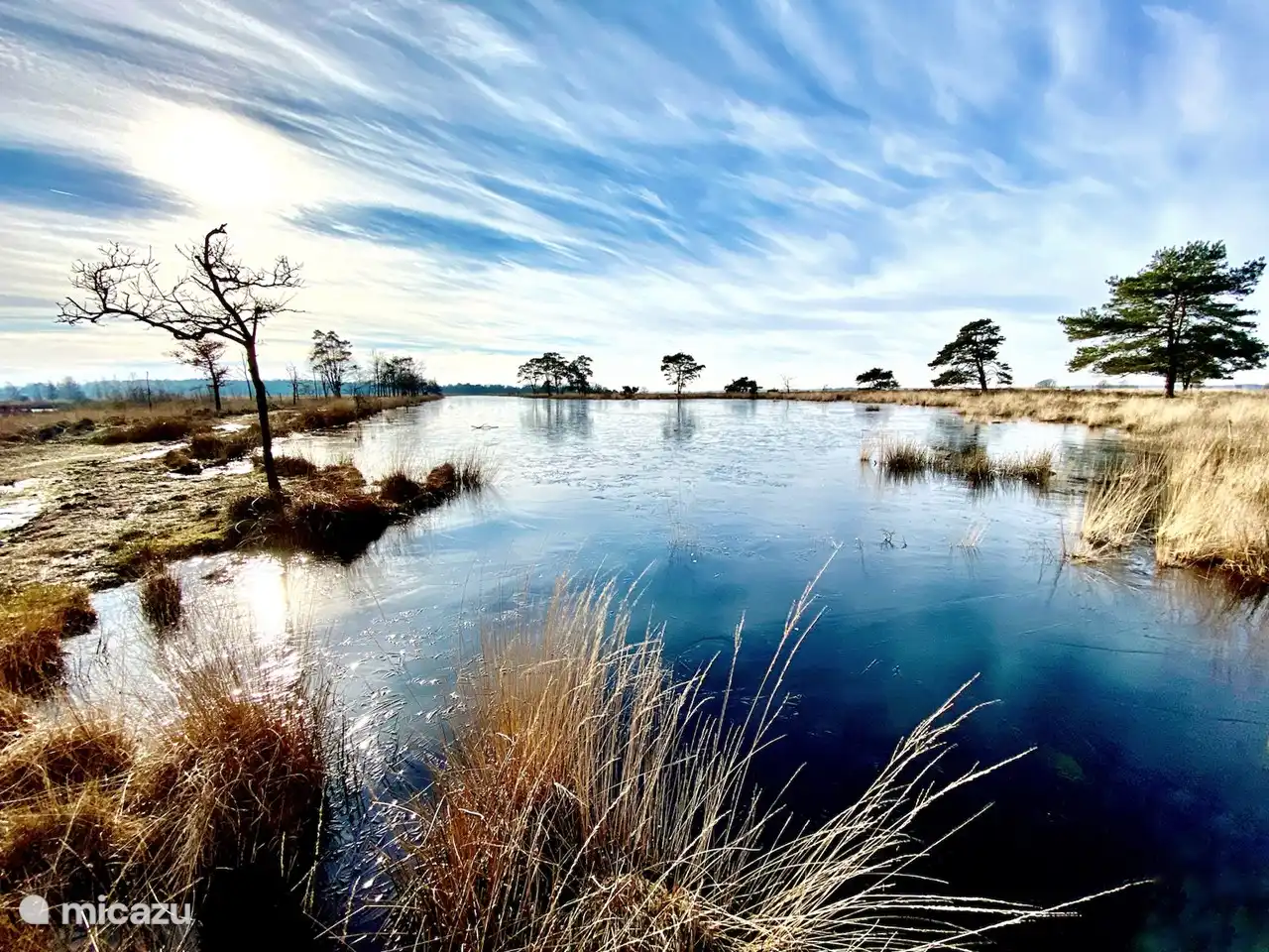 Kraloërheide (Dank an Herrn Klein Breteler)