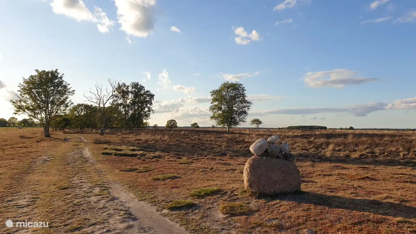 Sie können kurze und lange Spaziergänge rund um das Dwingelderveld machen.