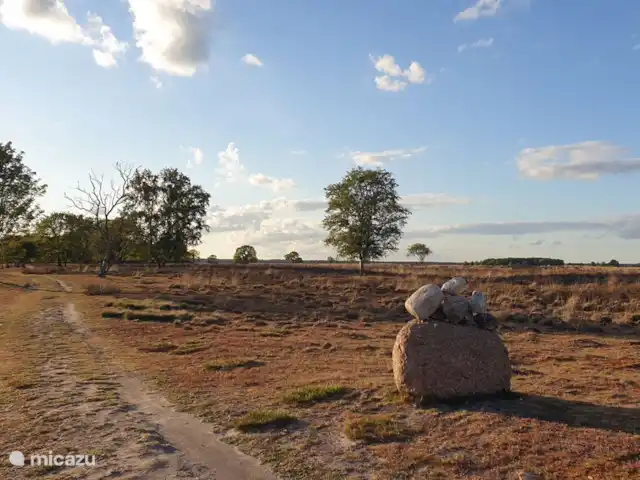 Huize Ruinen | Pays-Bas, Drenthe, Ruinen - maison de vacances Vous pouvez faire de courtes et longues promenades autour du Dwingelderveld.