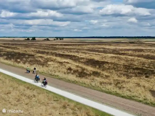 Huize Ruinen | Pays-Bas, Drenthe, Ruinen - maison de vacances Faire du vélo et marcher à travers le Dwingelderveld ; cette réserve naturelle a été sauvée de la remise en état en 1929 par Jac. P. Thijsse.