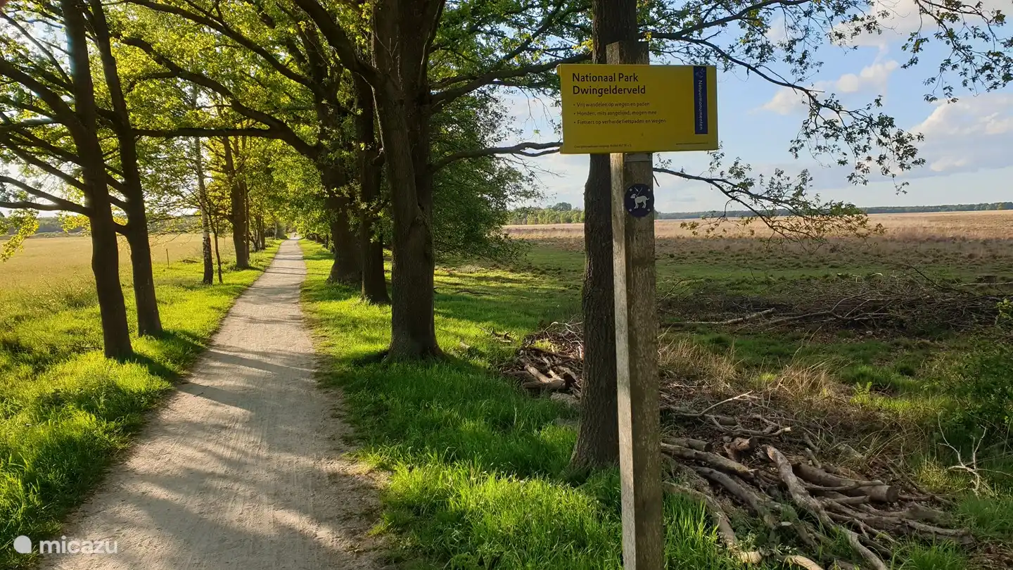 Dwingelderveld-Nationalpark